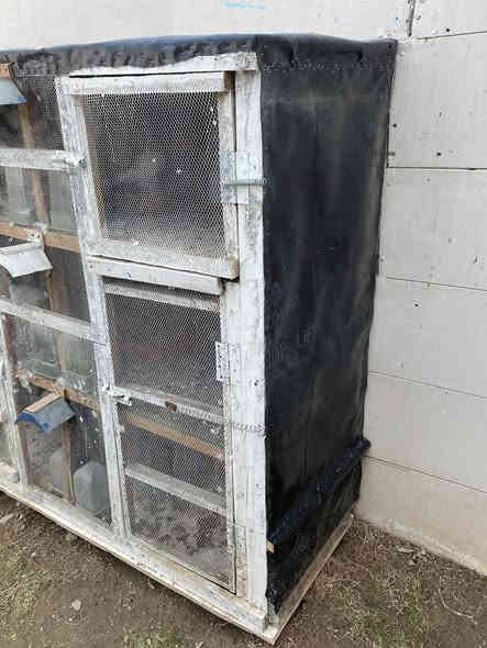 السلام عليكم خانات ام ال 6 كل خانة حجمهة واسع جدا وداخلهن وقافات للفحل وطوس تفقيس وطاسة مال اكل ومشربيات مال مي 
كاملات مكملات فقط تخلي طيورك 
العنوان بغداد السيدية حي الاعلام 
السعر  قفل  بدون عملة ب 100 كاملات بوب سراقي 
حتة جلد اسود مخليلهم مال مطر 
متوفر واتساب ***********
وماعندي توصيل
