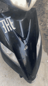 دراجه ماكس ثعلب 140 بلاديه كفرات مختمه مكينه ناعمه كهربائيات شغاله لايت اشاير كله شغال دراجه نضيفه مكان بغداد الدوره السعر 500 

***********
