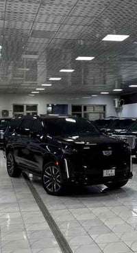 كن متميز بأختيارك كدلاك لاكثر جماليه واناقه 🌹  سلام عليكم شكري وحترامي...