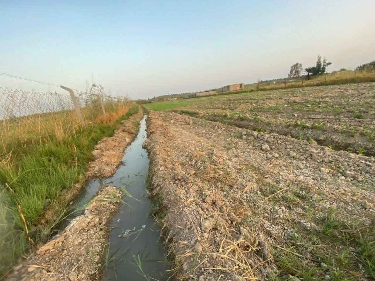 دونم ونص #نهاية الحديد القديمة  يتوفر ماء وكهرباء قريبة

وايضا بدأ المكان تنتشر بي المزارع 

#طابو زراعي سند 25 

#السعر ٤٢ وقابل للتفاوض 

ملاحظة الدونم بعيد يصلح مزرعة وابن الريف ممكن يسكنه

لان مو كلش بعيد عن السكن.     ***********

لكيشن https://maps.app.goo.gl/g5Tcv5R5LHCgQzcW6?g_st=it
