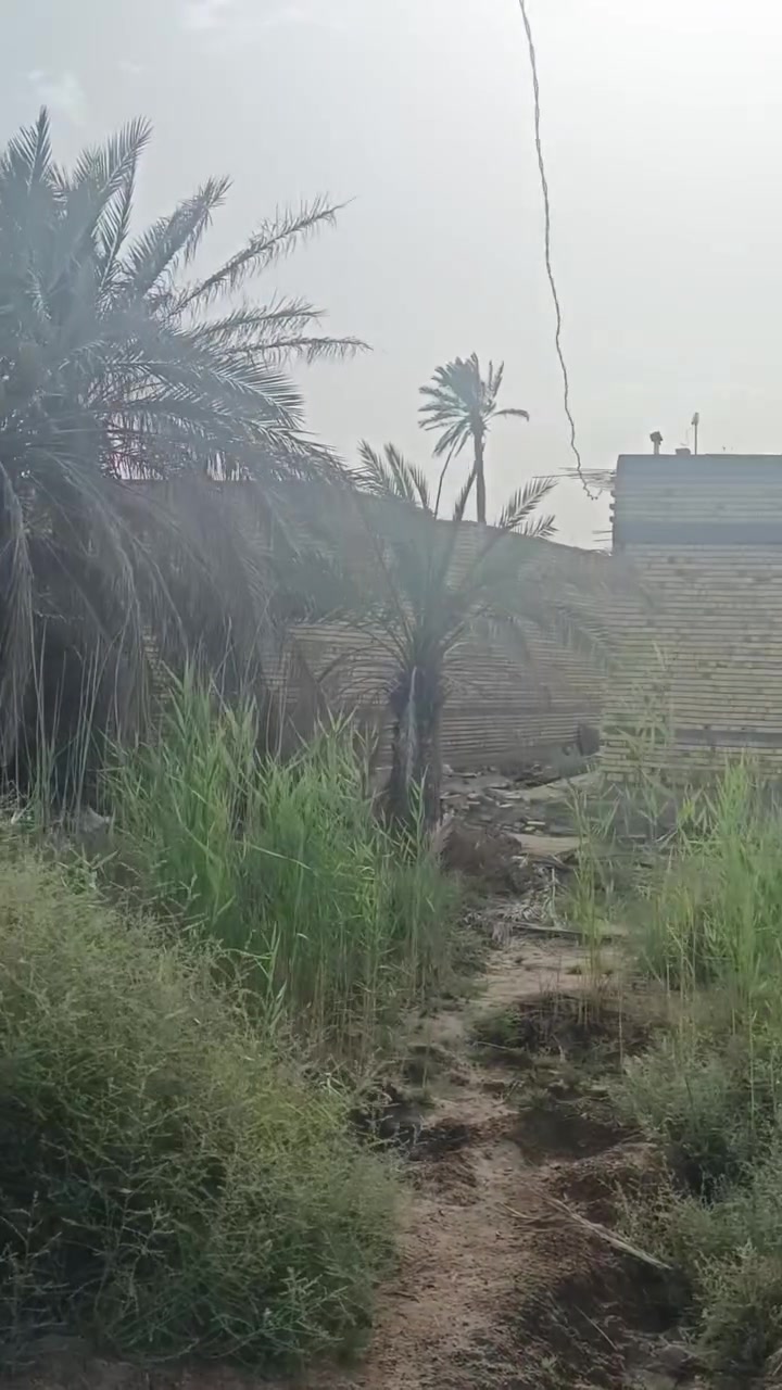 السلام عليكم قطعتين للبيع وحده بصف الثانية كل وحده مساحته 245م المساحة الكلية 490م طابو سند 25م تبعد عن الشارع العام 20م الوجه 20م والنزال 24 ونص الموقع وره مكصب السوك القديم قرب اسالة الماي الي بالنواشي عله الشارع العام ***********
