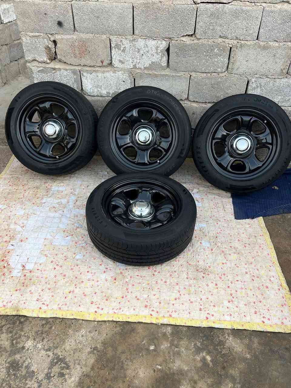 تخم ويل بوليسي أصلي مل كصه طوس والستداد حجم 18 البيع ***********
