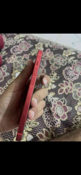 ايفون12 عادي جهاز  ابلادي وتربروف ضد مي ذاكره256 بطاريه83 نموذجM شراي اتصل او تعال خاص مو شراي اعبر المنشور ***********
