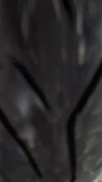 ماطور بوتين ٦٠ مكينه شرط ما مفتوحه شاصي شرط  انطيك معدل وشلعه شرط  ماط...