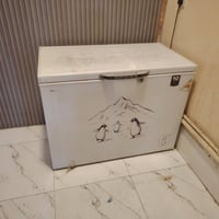 مجمدة • ١٦ قدم • ما بيها عيب
