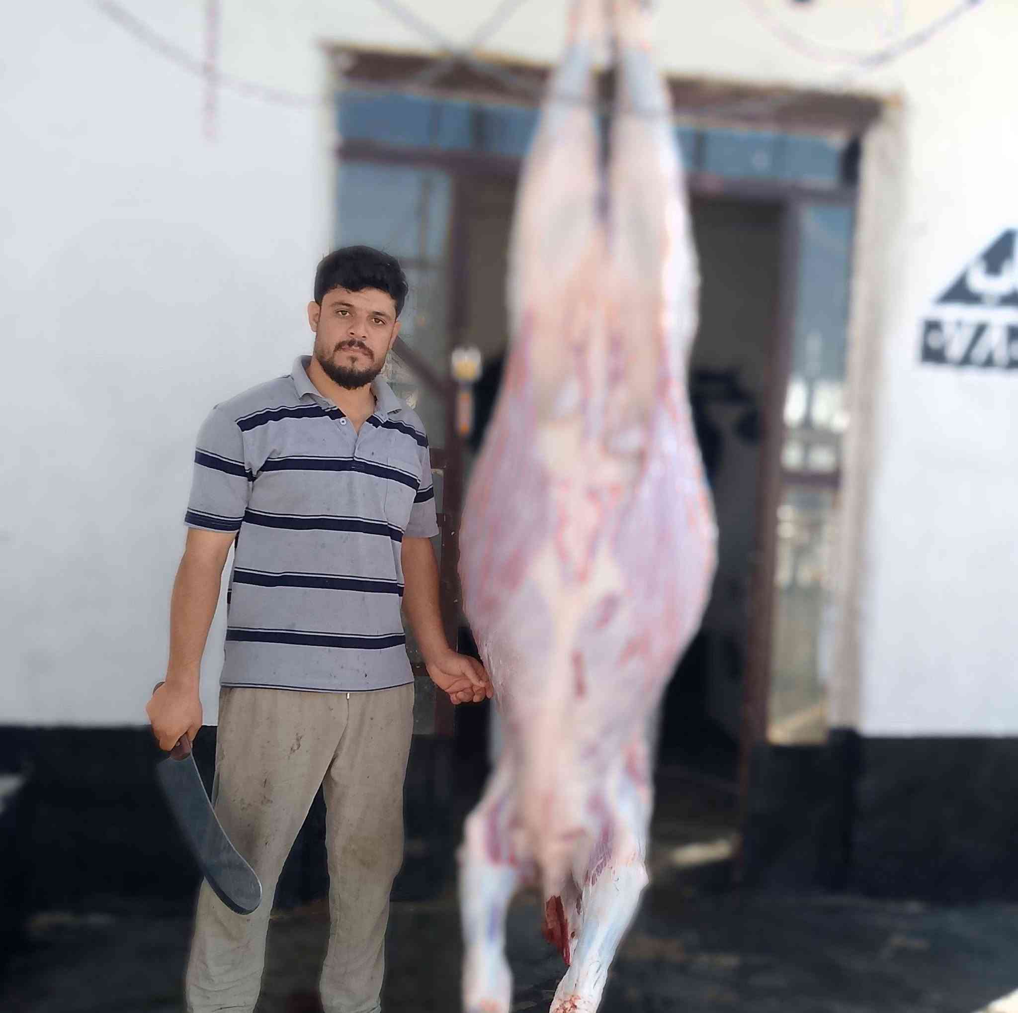 ذبيحة يوم غدآ الرمانه الفلكه قرب الجسر اتصل وادلل حولية قوزي حليب شرط 75 ك للحجز اتصل واعتذر عن الديون  الجميع  *********** الگصاب واثق الجشعمي
