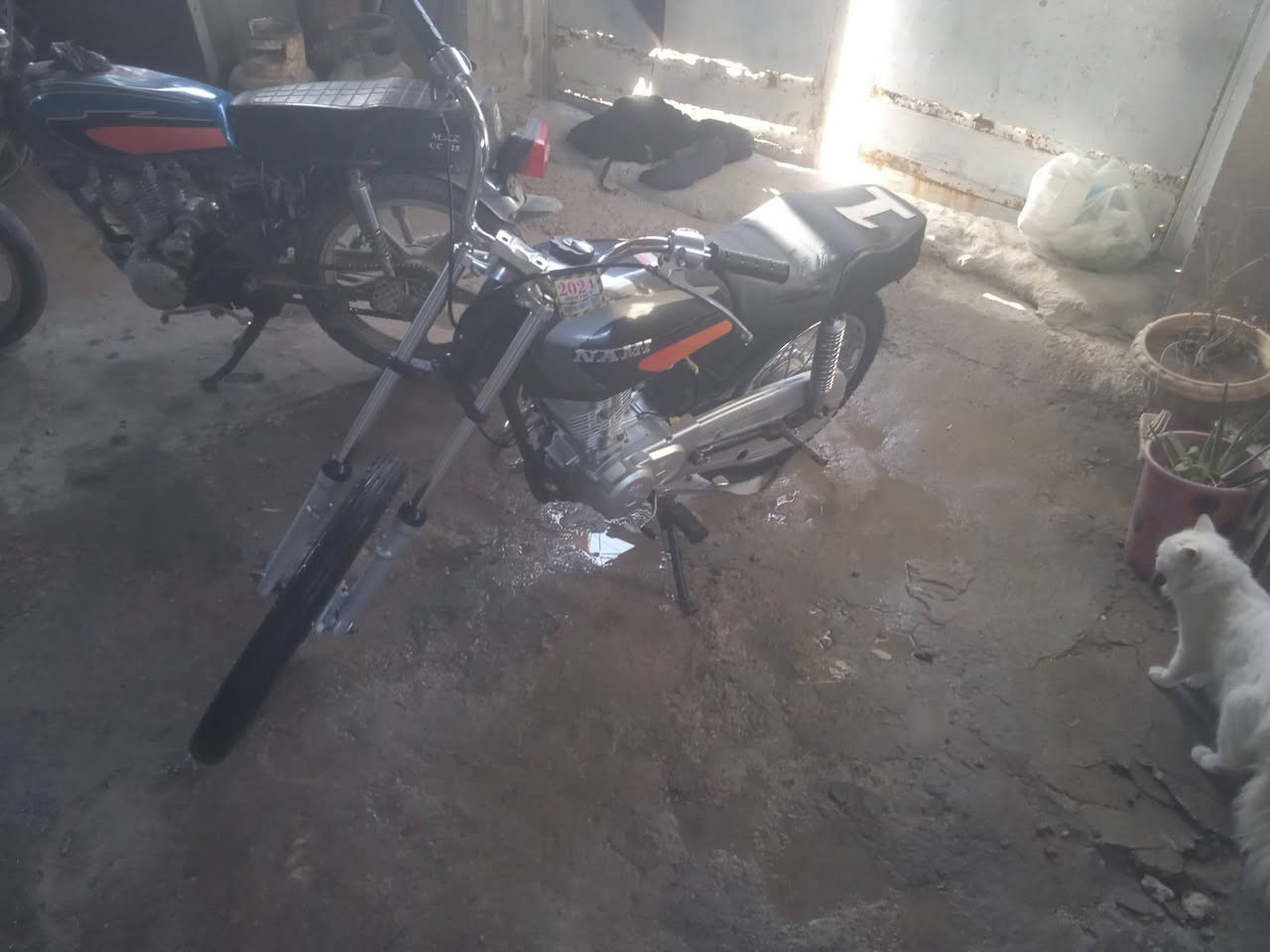 نامه تمير للبيع دراجه شاص موديل 19 اوراق اصولي دراجه تعمير 24 مفتوح الدراجه مبدل بيها بس بستيم‏‪***********‬‏
