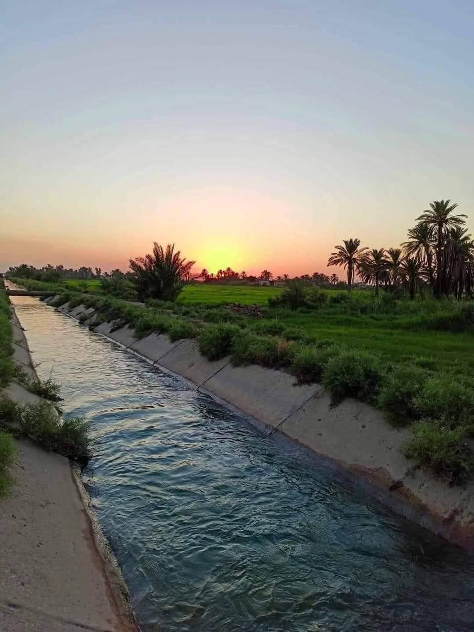 السلام عليكم
متوفر انسب عروض لاصحاب الامكانيه القليله ✅🌴
متوفر اراضي دوانم مساحات من دونم فما فوق والاسعار 
من 7 ملايين الى 15 مليون حسب موقع الارض وخدماتهه
فرصه ذهبيه وما تضيع استثمر فلوسك بيهن او رتب شي ابالك جنس الارض طابو سند 25 العنوان تاجي سبع البور
منطقة الشيخ عامر بمنطقة العيساويه عبور الجسر الثاني 
فرصه ذهبيه وتخدم اصحاب الاستثمار واصحاب الامكانيه القليله للأستفسار واتساب متوفر *********** ✅🌳
