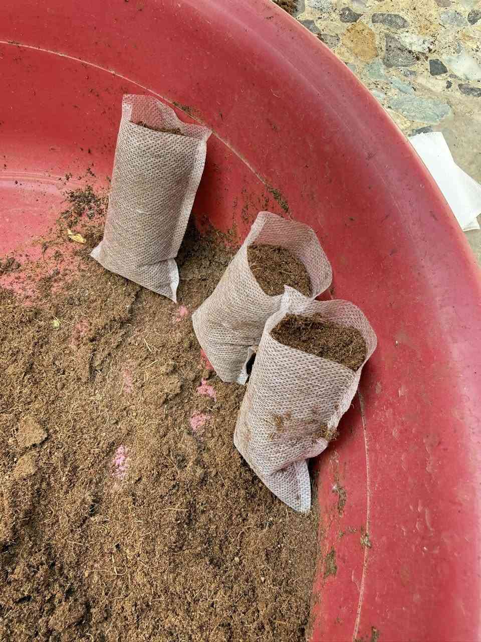 اكياس زراعية صديقة للبيئة قابله للتحلل
لزراعة البذور والاقلام 
حيث لا تحتاج الى التفريد الشتلات فهي راقيه جدا للمشاتل و محبين الزراعة 
بعد اليوم اي بادرات لا تموت ولا تتلف 😍
كل 1000 كيس ب10 الف دينار فقط 
500 كيس ب5 الف دينار فقط 

مهندس احمد
***********

#بذور #زراعة #جيو_فابرك #اكياس_زراعية
