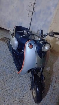 دراجة مصرية • شلعة ومعدل • الناصرية