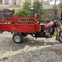 ستوته • بدون اوراق • الفلوجه