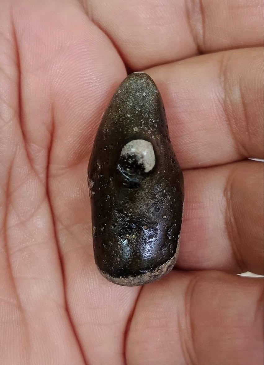 السلام عليكم/ عروكه سلطاني نباعي ذمه
يوجدً توصيل لجميع المحافضات

***********واتس
