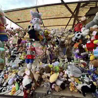 متوفر العاب باله سوفت اوربي كندي 🇨🇦 درجه اولى جمله ومفرد  للتواصل مراس...