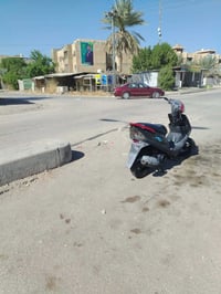 ماكس ٤٩ • نظيفه • بابل