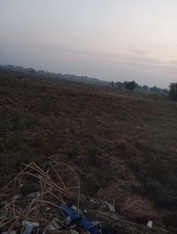 حاوي العباس • ست دوانم • ماء وكهرباء