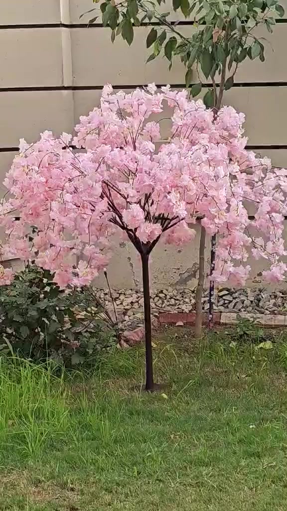 شجره الورد الصناعيه كوالتي عالي قطعه مال امزون كلش كثييفه بيه قاعده تثبت بالارض


**إذا كنت صاحب هذا الإعلان وتريد حذفه لأي سبب، رجاءا أرسل رسالة إلى الدعم الفني**