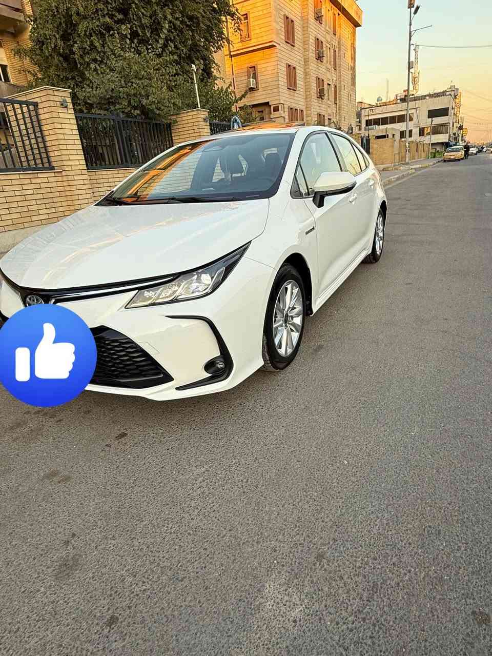 السلام عليكم كورلاهايبرد الشكل الخليجي العلامه الزركشه المرغوبه الوجبه الأولى 2023 فول عده الكشنات والجلد مكفوله كفاله عامهعده طخه بل صندوك ع كد أربع أصابع كت كامل عليها لذات دشبول وأربع بطاين وأربع كلاصات وأربع يدات وبل أرضيات اثنين  السياره تخم تاير جديد صدر جديد دهن جديد سياره عليها عنايه كامله بولش زائد حمام السياره كولش السياره حلوه ورخيصه بلعافيه الي صير من نصيبه  ماشيه 43 مكاني كراده أو شارع فلسطين رقم الهاتف *********** متواجد واتساب السعر 145 وبيها مجال بسيط@
