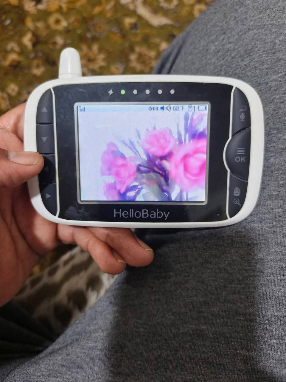 كاميرا هلو بيبي مراقبة أطفال بدون واي فاي سعر 25 الف


**إذا كنت صاحب هذا الإعلان وتريد حذفه لأي سبب، رجاءا أرسل رسالة إلى الدعم الفني**