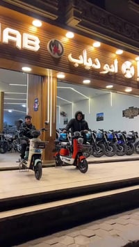 كيواي bee450 • ٤٥٠ وات • بدون مقدم