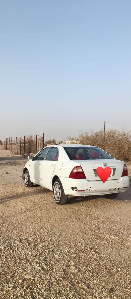 سلام عليكم كورلا بيكاجو 2007 محرك 1600 محرك خير من الله  كير جديد رقم انكليزي بغداد بسمي مصبوغه جماليه اثر جراد  تخم تاير جديد لايت زنون سعر 78 وبيه مجال لشراي مكاني كربلاء حي عامل الاستفسار ***********
