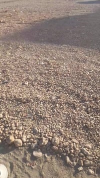 ارض استثماريه للبيع طابوصرف مساحه2000مترلاتصلح سكني سعرالمتر725 ومجال ...