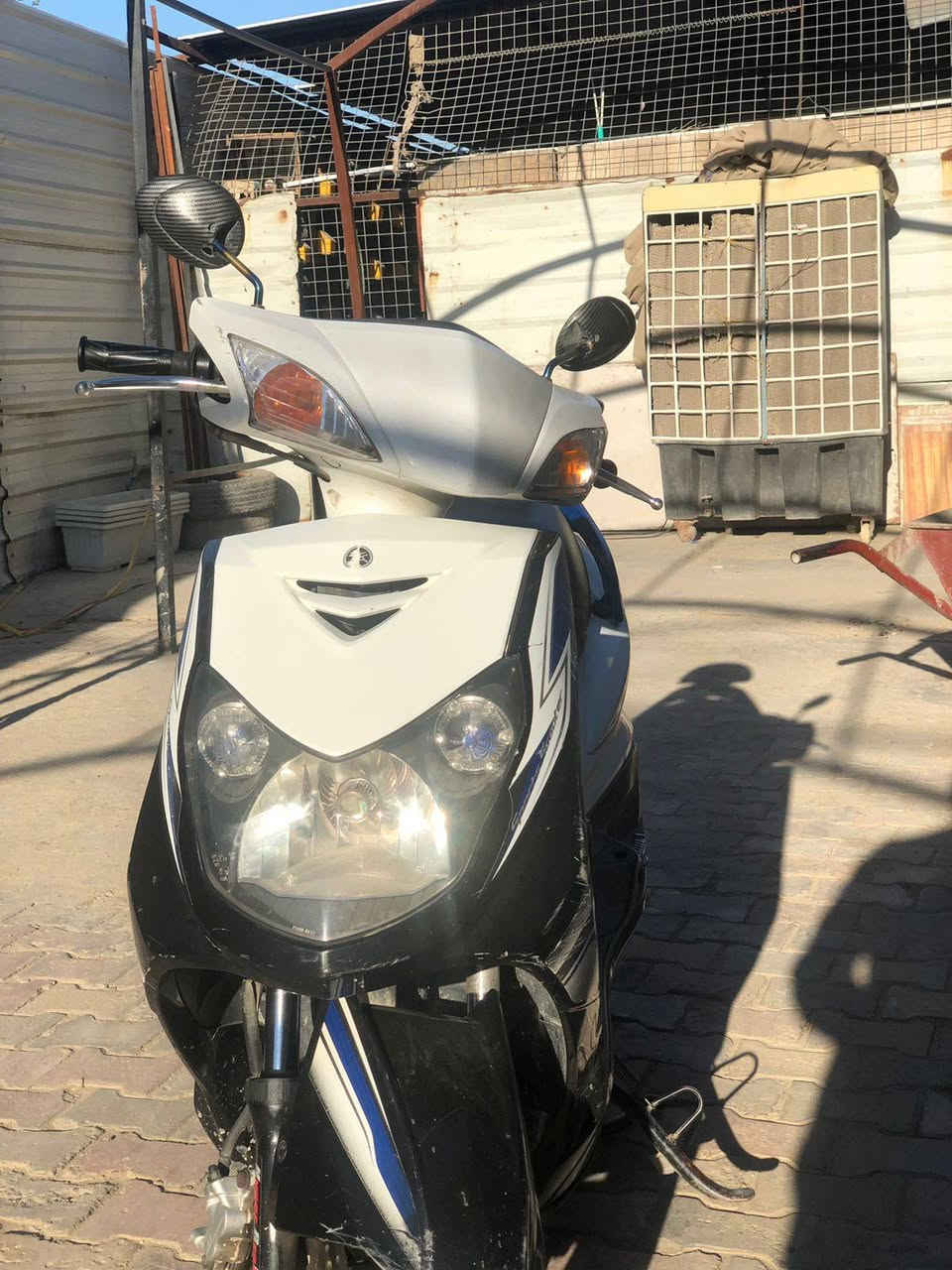 سكنس فحل خمسينه كفاله عامه تفاصيل خاص رقمي *********** سعر خاص متواجد
