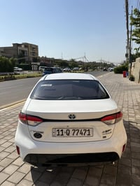 كورلا ليفين • هايبرد • ٢٠٢٤
