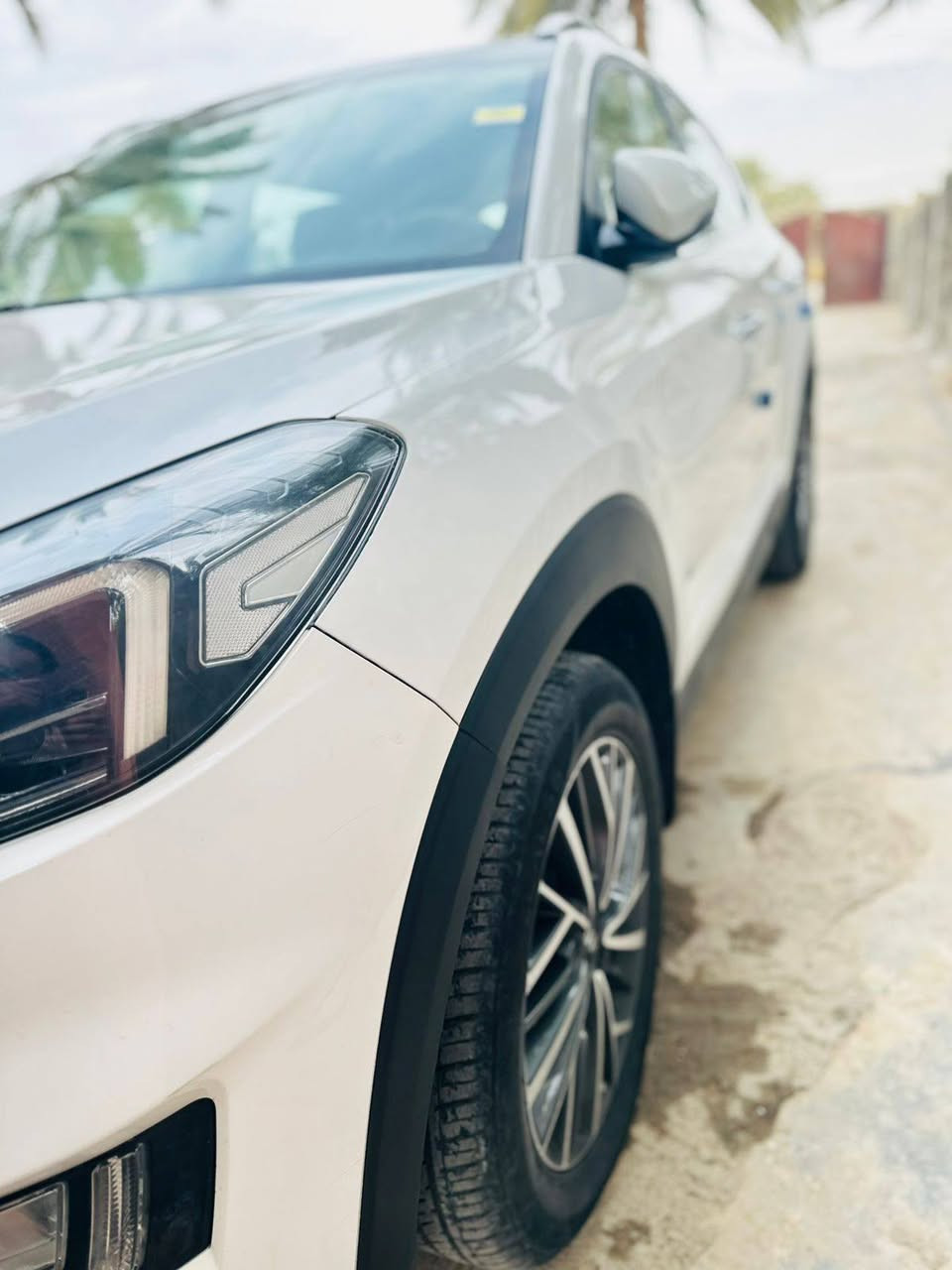 سلام عليكم
توسان 2020  خليجي فول مواصفات بانوراما  مكفوله كفاله عامه من ضربه و صبغ و بارد وتبديل حتى الدعاميات مكفوله من صبغ وتبديل جديده جدا  رقم بغداد مشروع وطني باسمي شخصيا  ماشيه44 فقط  حقيقي ع ايدي

مواصفات 
بصمه ابواب +تشغيل 
كراسي عدد 2 كهرباء 
شاشه اصليه 
كامره امامي +خلفي دوار 
خمس عدسات متغير الاتجاه 
لد نهاري 
حساسات 
شاحن واير ليس 
شاشه اعطال 
تحكمات فول 
تغير وضعيات قياده 
وبعد اهواي مواصفات 
بيها سونار المندلاوي البارحة اخذته 

مكانها بغداد 
السعر 221 وبيها مجال ان شاءالله 

الاستفسار الاتصال

***********
