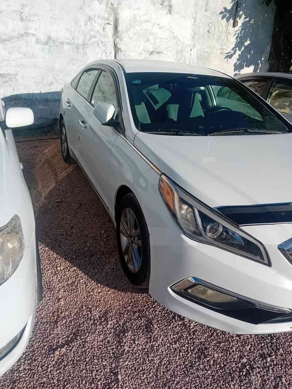 السلام عليكم اخوان سوناتا 2017 وارد امريكي صور الحادث بلمنشور خشم البنيد تكشير بل قماره بسيط صدر تخم تاير باتري كهربائيات كير مكينه كفاله السونار موجود كفاله ليبل واحد بدون صبغ تحويل ثاني يوم رقم نكليزي السعر 120وترهم مراوس بالنترا 17او18 العنوان الانبار الفلوجه الاستفسار على الواتساب او خاص ***********
