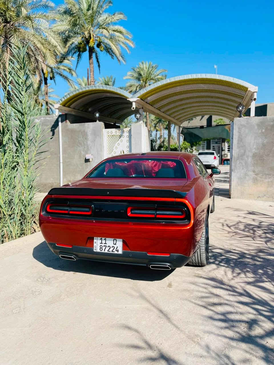 جالنجر 2023 GT
المسافه المقطوعه 20 الف ميل
قبل سبوع رقمتها  باسمي
دهن جديد
بانزين محسن
وضع زيرو السياره
تايرات شركه
لون مشمشي مميز
لوحه فنيه السياره
ماكو اي نقص
حادث جاملغ وبنيد فقط بدون دواخ بدون شواصي بدون لغود بشرط كفاله
السعر ١٨٨ وبي مجال
مكاني بابل
0783830835


**إذا كنت صاحب هذا الإعلان وتريد حذفه لأي سبب، رجاءا أرسل رسالة إلى الدعم الفني**