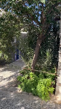 كربلاء المقدسه • ٧٥٠م • ٣ غرف