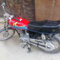 دراجة أوراق • كايمه • بصرة ابو الخصيب