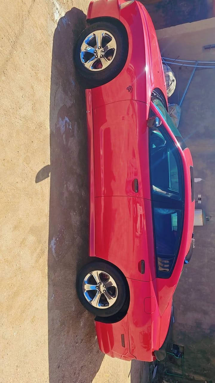 سلام عليكم
للبيع جارجر 2012
رقم بغداد جديد
سياره خليجي فول مواصفات شاشه كبيره مثبت سرعة نظام حساس فتحه
كير مكينه إكسل كله جديد 
سونار مرفق بل صور
بيع او مراوس بدورنكو بدون فرق ماعندي اطي فرق 
السعر 148 وبيها مجال
اتصال ***********
وتساب
