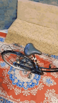 السلام عليكم بيسكل ياباني باله ٢٠٢٠ العنوان كربلاء قرب مستشفى الحسين السعر٩٠وبي مجال للستفسار ***********
