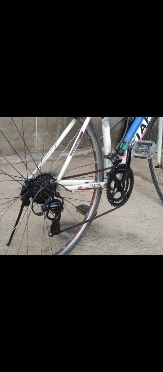 بايسكل رياضي مال سباقات
بعده جديد مع سماعه مسجل و بومب للبيع كله السعر 140 الف
تواصل خاص او واتساب ***********
