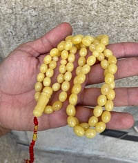 بيض حمام • قافلة مشجرة • ٧٩ حبة