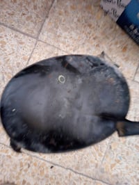 ماطور عدد اثنين شغلات على الفحص للبيع بغداد البلديات الاتصال 077129784...