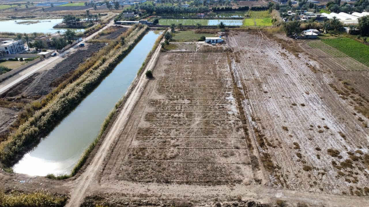 السلام عليكم اخوان اقرى التفاصيل واني بالخدمه ارض استثماريه للبيع 4 دونم قرار عقود عبد الكريم قاسم الارض لمن يزرعها وصارها عشرات السنين تزرع وانتاجيه وخير من الله الارض محرم يعني بدون سند هاي تنقسم من الارض الي صدر بيها سند في ذالك الوقت صاحبها يبيعلك مباشر ويسويلك عقد بينكم تصلح سكن او مشروع او زراعه او مشتل او بستان او تتقسم شاليها حاليا الارض فارغه مامزروعه بيع سريع موستعجل سعر الدونم 10 مليون وبي مجال العنوان بغداد اليوسفيه القصر الاوسط منطقة بير الحمام قرب جسر صبار شارع تبليط وشارع ترابي هاي الفرصه ماتتعوض تعال احسبها حساب عرب وشوف اذا تسويلك مشروع بيها اسط مشروع خلي نحول مشتل هيه تسد فلوسها اقل من سنه وصاحبها ساكن قريب منها يعني جارك والحيات فرص هاي الارض الي داخلها نهر  للعلم سعر الدونم المثبت بالسند اليمها 110 مليون يعني هاي بلاش وفرصه اي استفسار اتصل ***********
