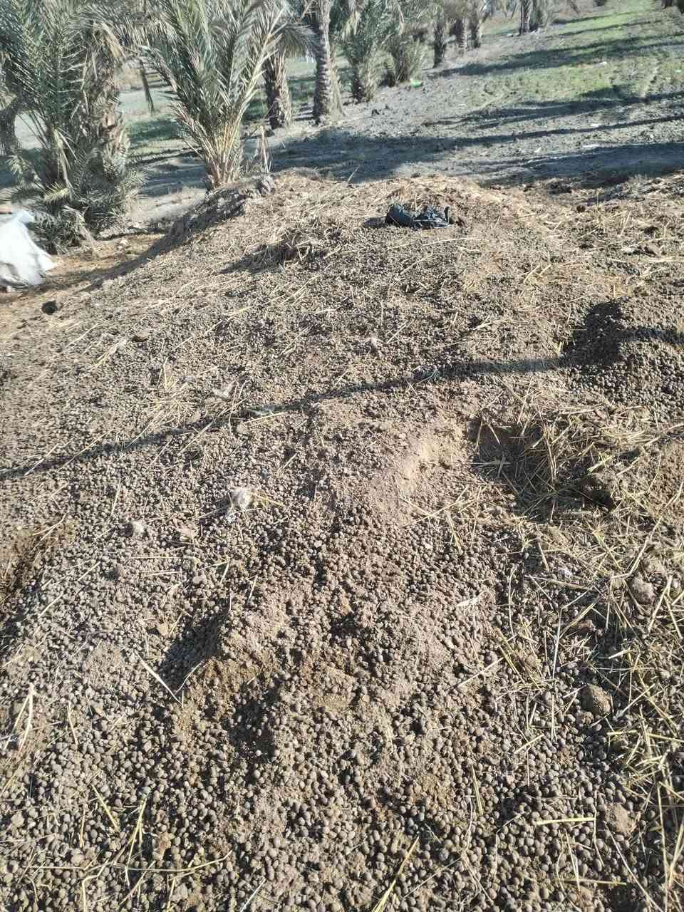 ديمن نضيف  اللبع ***********
