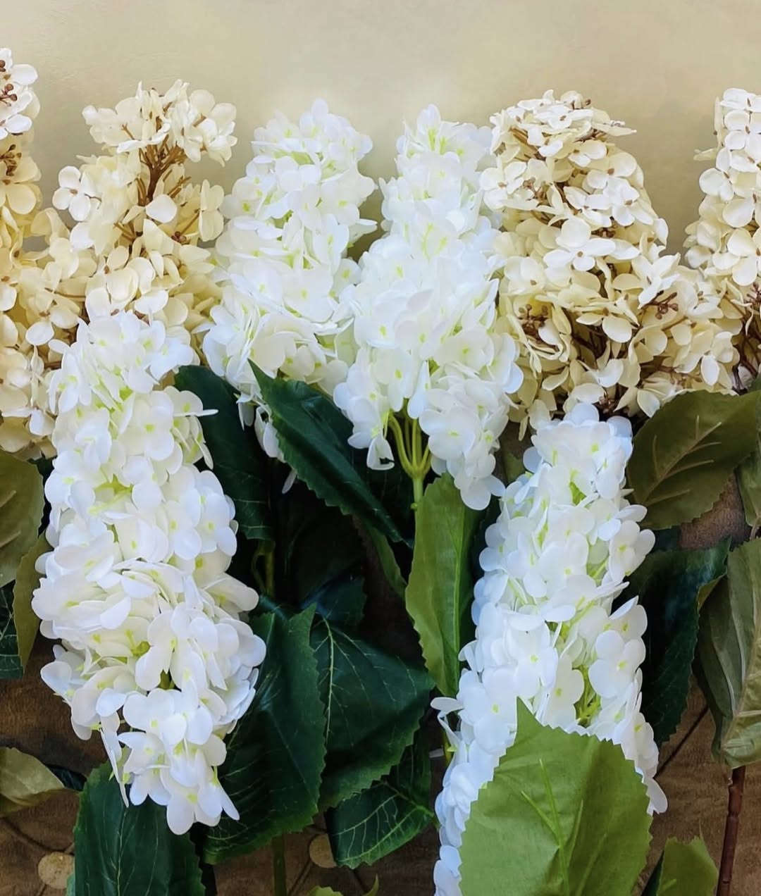 ورد كميات مفتوحة جملة فقط

طلعو مــن التقليدي وجربو ۿيج تشغلون 💕


**إذا كنت صاحب هذا الإعلان وتريد حذفه لأي سبب، رجاءا أرسل رسالة إلى الدعم الفني**