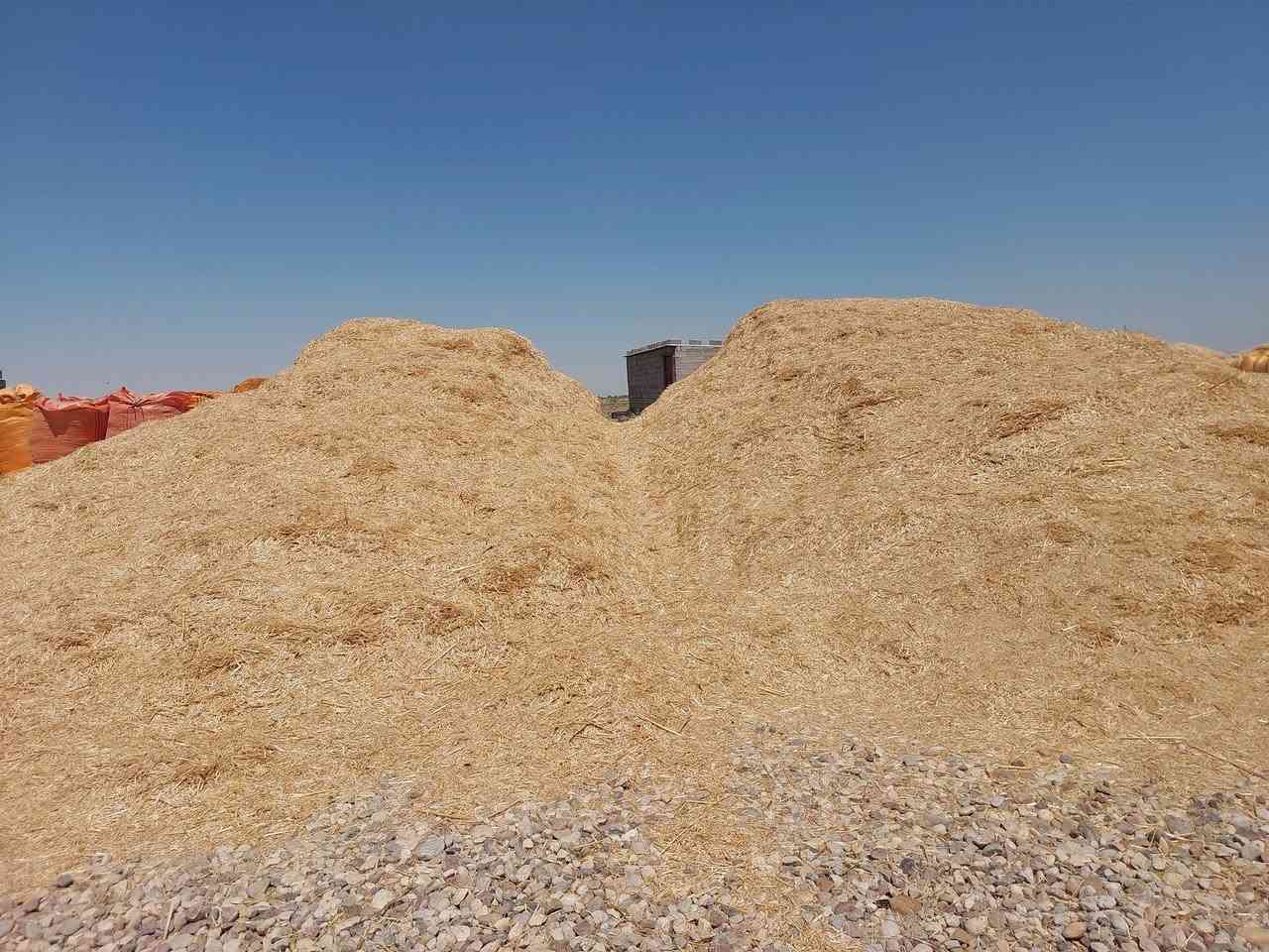تبن للبيع شديد البياض مطحون بواسطة المعمل البيع على شكل عرباين ، فمن يرغب بالشراء الاتصال على الأرقام التالية 

***********
***********
المكان ( الكوت _ قريب على مقام السيد شاطي )
