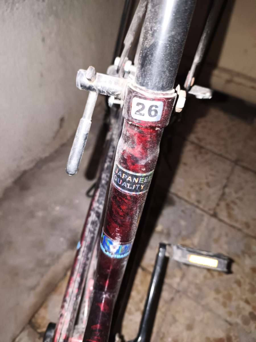 سلام عليكم 
باسكل ياباني اصلي حجم 26 موشم احمر ✨

باسكل كامل مكمل كل شي ما ناقصلة 🔥

السعر 100 قفل 99 ما ابيع 

العنوان كربلاء الملحق قرب معارض السيارات بصف مقبرة حمزة الصغير 

الرقم *********** اخو جديد الباسكل متروك
