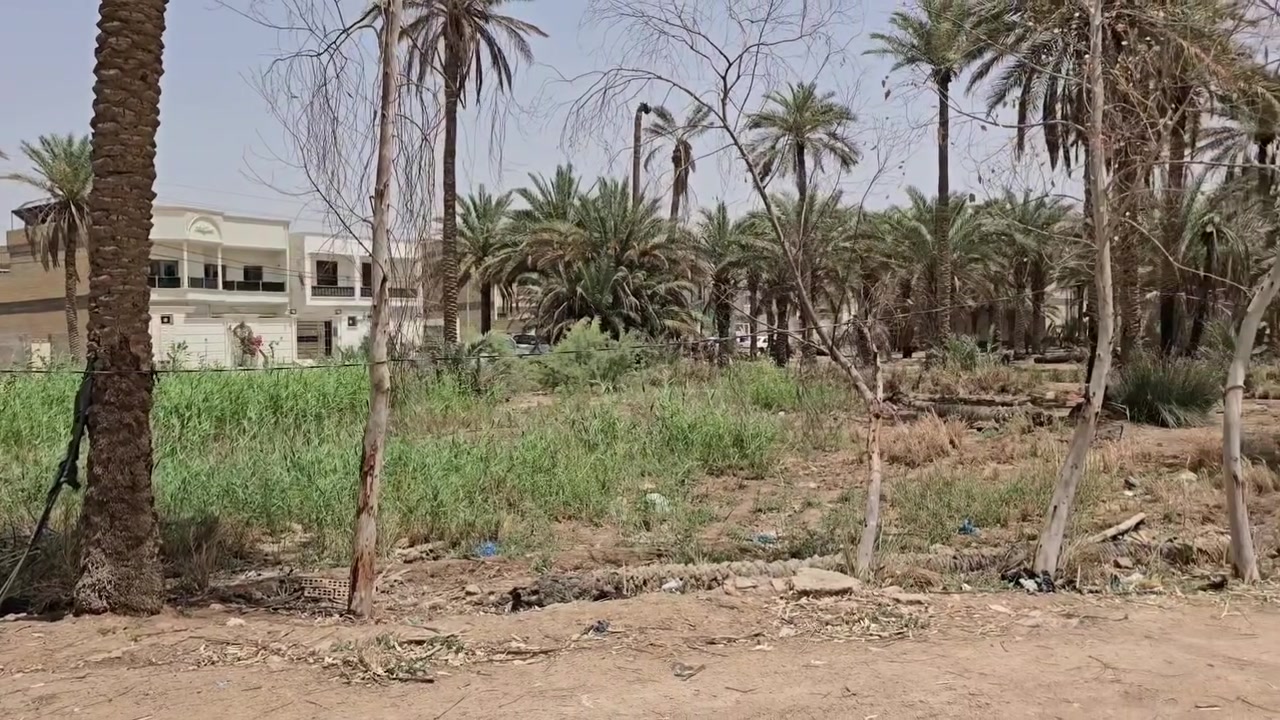 أرض زراعية للبيع 

🔴 التفاصيل 

🔹️ موقع تجاري متميز 
🔹️ على الشارع العام 
🔹️ الأرض مطلة على اكثر من شارع 
🔹️ مساحة الأرض الكلية 3.5 دونم
🔹️ طابو زراعي 
🔹️ سند 25
🔹️ متوفرة جميع الخدمات 

🔸️ موقع الأرض خلف محطة وقود ريبال . قرب جسر الامام علي 

🟥 موقع المكتب : الكوفة شارع ال عيسى 

للتواصل والاستفسار 
***********
***********
امجد ابو حسن
