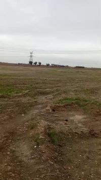 يا الله بسم الله رحمان رحيم اللبيع .8 دوانم كل دونم 50 في 50  عادي ذا ...