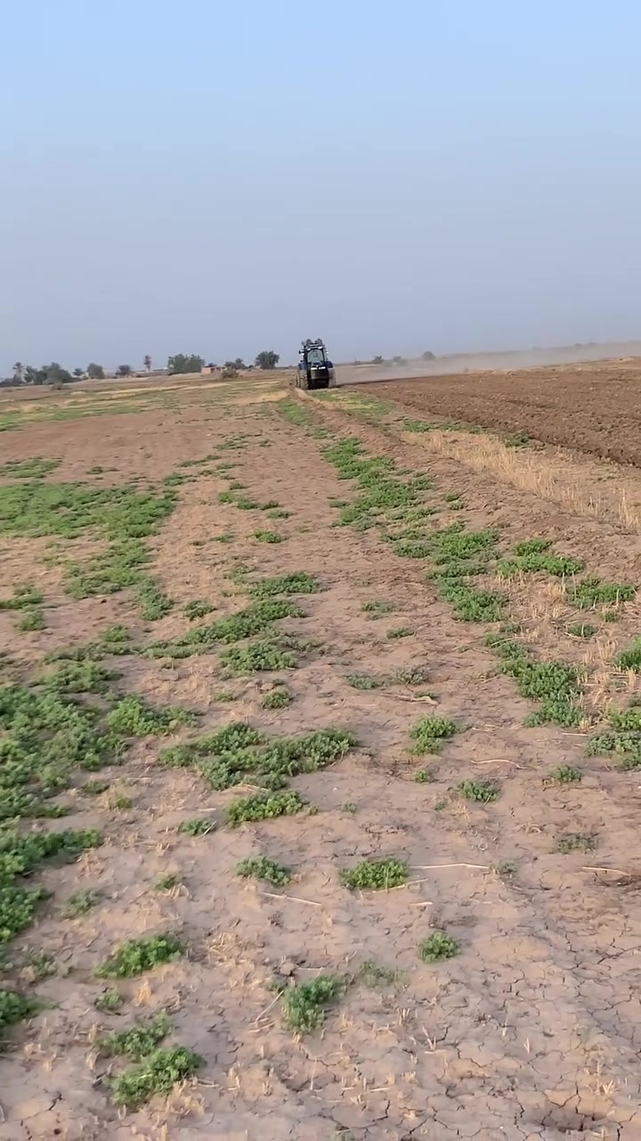 السلام عليكم
من رخصت الادمن  للبيع او مراواس  بحجم ازغر مكين نيوهلند حجم 140 TN نص اوتماتيك كير عصا  مكينه خير من الله جاهزه للعمل مباشر ما ذب عليه ولا الف   موديل 2007 رقم اربيل وكاله عامه تحويل مباشر  مكينه كل نقص ماكو  كهربائيات  شركه تبريد ثلج. تخم تاير باكيت  
+ دسك 24 جديد ما مشغل  شي بصيد تفاصيل اكثر ***********. او
***********9 واتساب  غير متواجد عله الفيس
