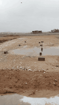 حي الشبكات • ١٥٠م • سند طابو