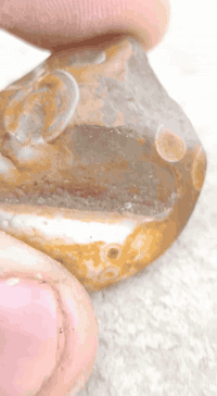 حجرة هذا اليوم تحفه من تحف الزمان
حجر سليماني تصوير رباني وجه 
حجره قديمه كلش مال (مزامط )
الي يريد فساد جاه وجه محبه عطفب عقد لسان تهييج طاعه يتفضل
مو ترغيب للمشتري مجربه واني الي مجربها
للتواصل ‏‪0773 915 3118‬‏
او مراسلة الصحفه عل الخاص
