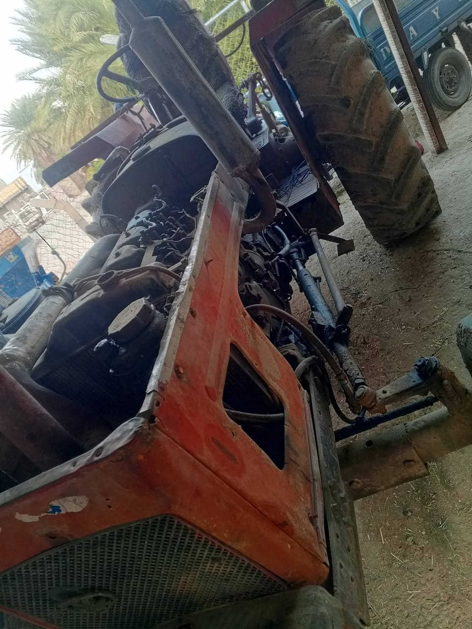 عنتر للبيع بدون مكان واسط ***********
