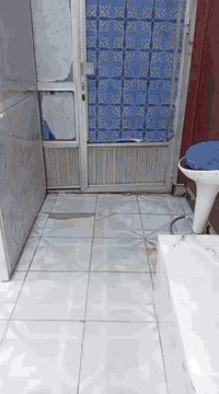 سلام عليكم صالون للبيع كامل تجهيزات صارله اكثر من ٣٠ سنة معروف ع مستوى بالمنطقة سمعة وشغل خير من الله السعر ١٢ مليون وبي مجال المكان بغداد كماليه شارع المصرف صالون فرجينيه ام حسنين ***********
