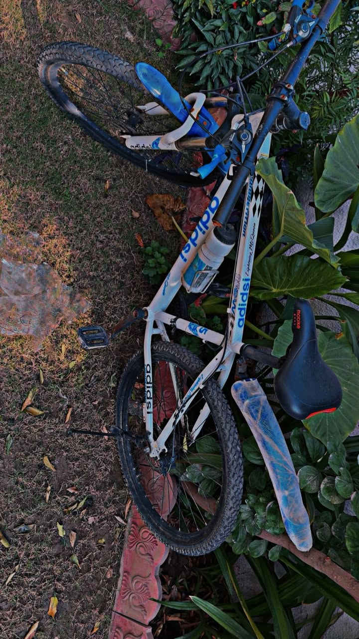 بايسكل للبيع تخم تايرات جديد وكير كله شغال 
مابي اي نقص شرط 
السعر 70 وبي مجال 
***********
